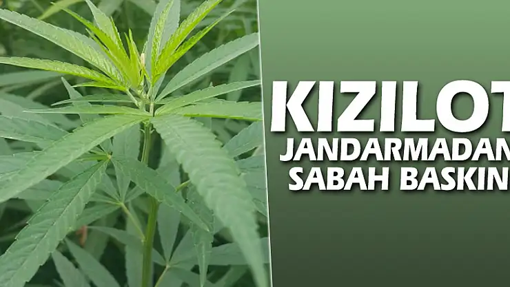 Kızılot Jandarmadan Sabah baskını