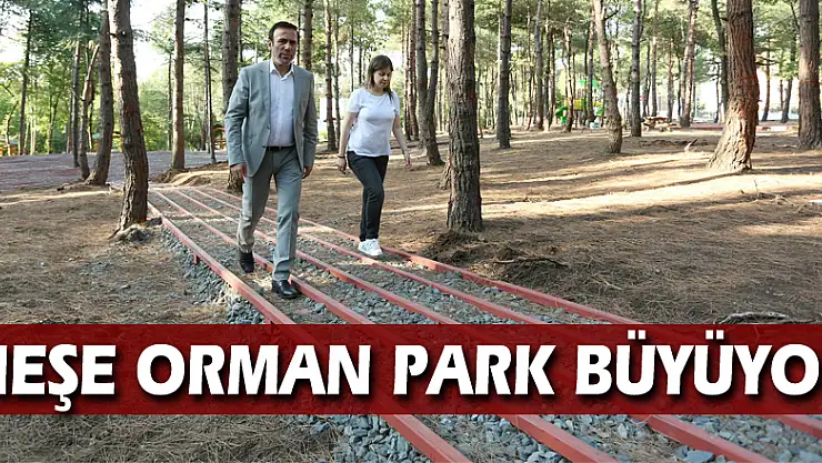 Meşe Orman Park büyüyor
