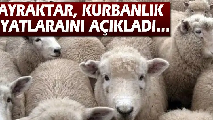 Bayraktar, kurbanlık fiyatlarını açıkladı…