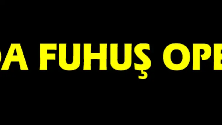 Samsun'da fuhuş operasyonu: 2 gözaltı