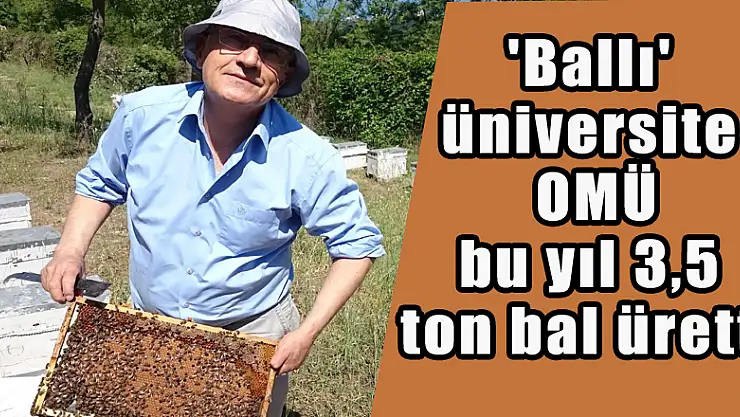  'Ballı' üniversite 