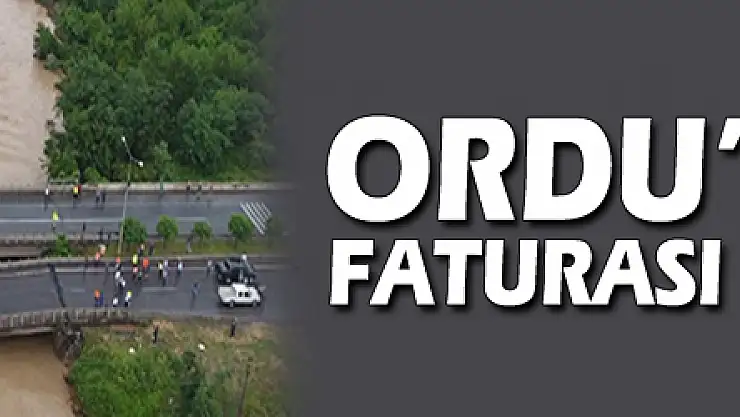 Ordu'da selin faturası 165 milyon TL