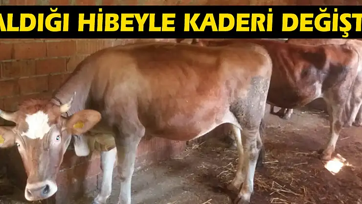 Aldığı hibeyle kaderi değişti