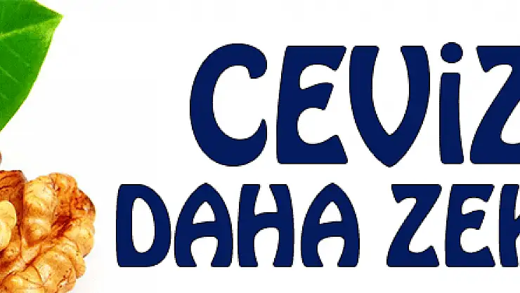 Ceviz yiyen daha zeki oluyor
