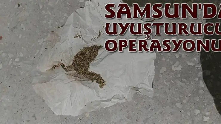 Samsun'da uyuşturucu operasyonu: 12 gözaltı
