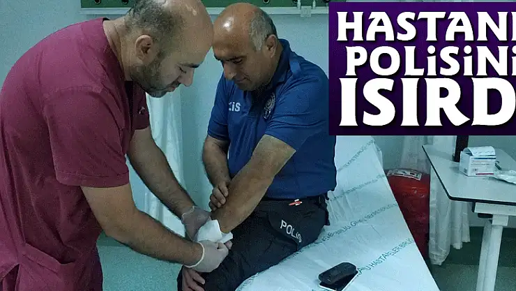 Hastane polisini ısırarak hastanelik etti