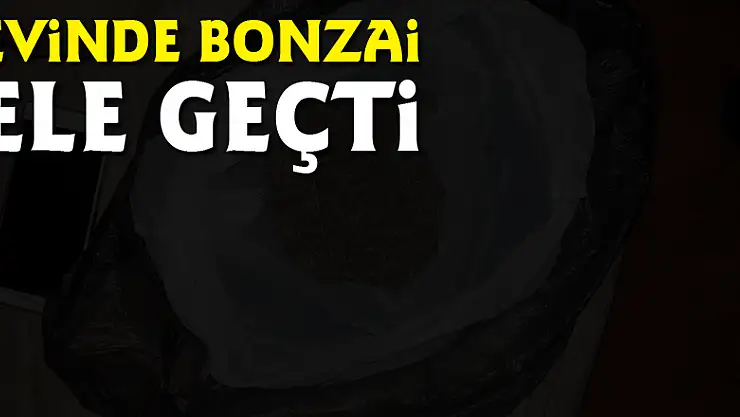 Evinde bonzai ele geçti