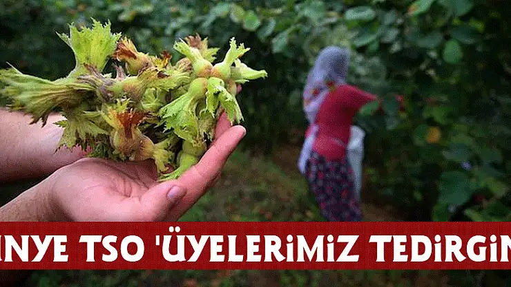 Ünye TSO: 'Üyelerimiz tedirgin'
