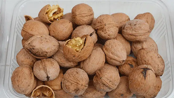 'Ceviz tüketimi kalp ve bağırsak sağlığı için faydalı'