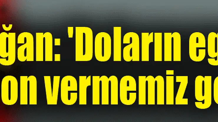 Erdoğan: 'Doların egemenliğine son vermemiz gerekiyor'