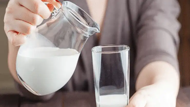 'Süte şarbon bulaşma ihtimali çok düşüktür'