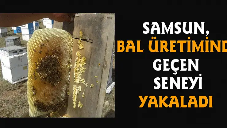 Samsun, bal üretiminde geçen seneyi yakaladı 
