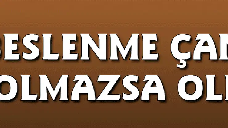 Beslenme çantasının olmazsa olmazları