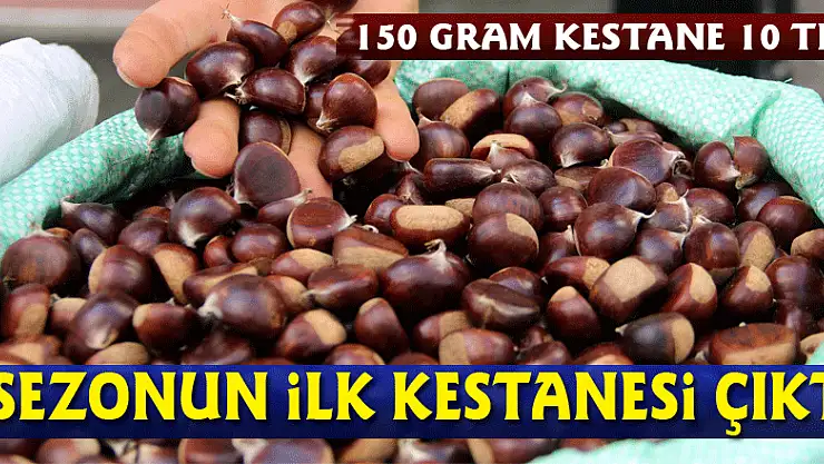 Sezonun ilk kestanesi çıktı