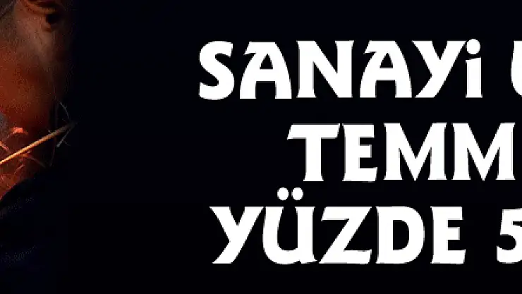 Sanayi üretimi Temmuz'da yüzde 5,6 arttı
