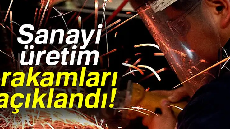 Sanayi üretimi Temmuz'da yüzde 5,6 arttı