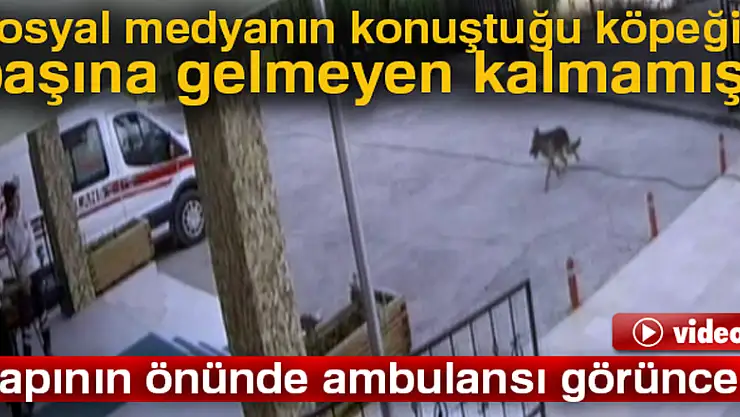 Hırsızlardan kurtulup 112'ye sığınmış