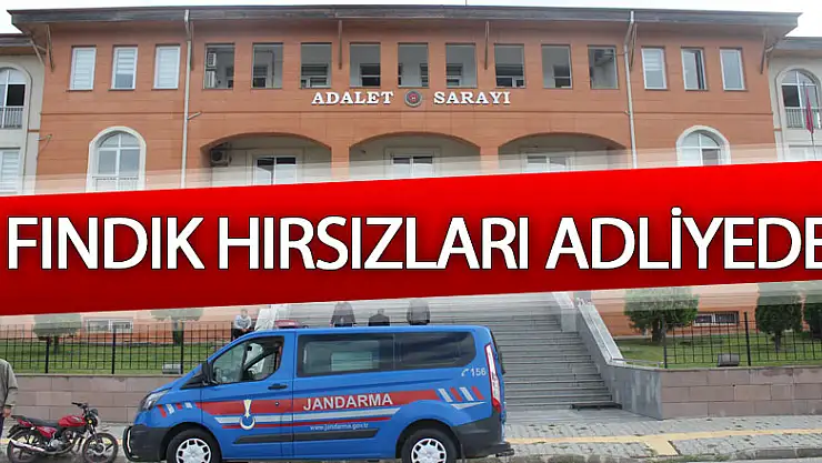Fındık Hırsızları adliyede