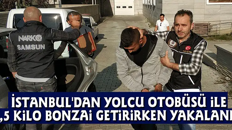 İstanbul'dan yolcu otobüsü ile 1,5 kilo bonzai getirirken yakalandı
