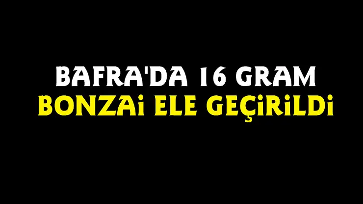Bafra'da 16 gram bonzai ele geçirildi