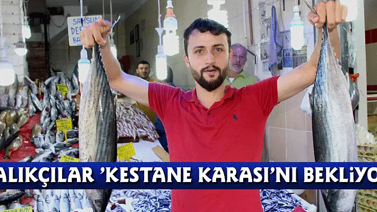 Balıkçılar 'kestane karası'nı bekliyor