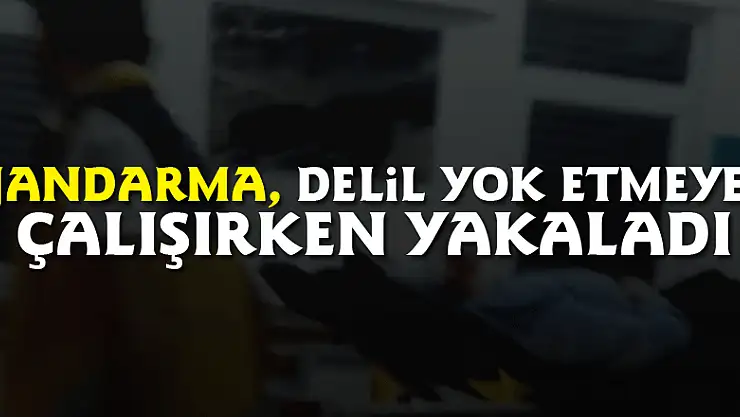 Jandarma, Delil yok etmeye çalışırken yakaladı
