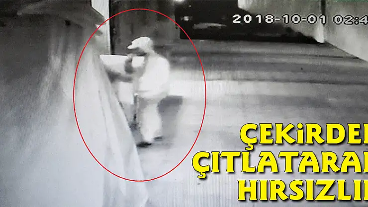Çekirdek çıtlatarak hırsızlık