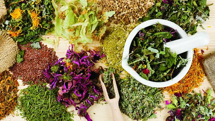 Bitkisel ilaçlar doktor kontrolünde alınmalı