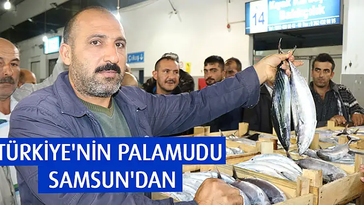 Türkiye'nin palamudu Samsun'dan