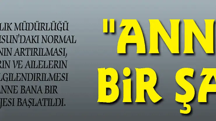'Anne Bana Bir Şans Ver' projesi ile sezaryen oranı düşürülecek