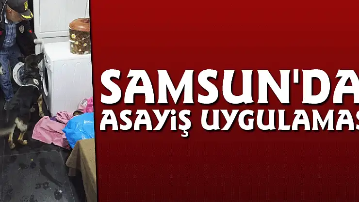 Samsun'da asayiş uygulaması