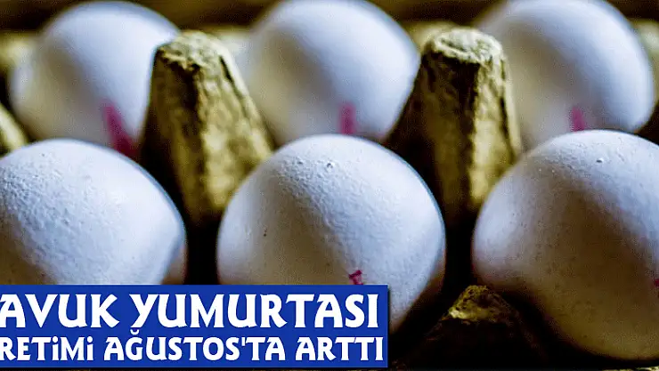 Tavuk yumurtası üretimi Ağustos'ta arttı