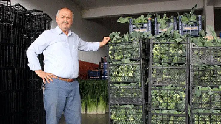 Samsunlu komisyoncular: 'Arz talep doğrultusunda fiyatlar belirlenir'