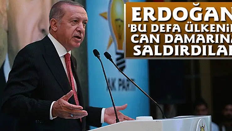 Erdoğan: 'Bu defa ülkenin can damarına saldırdılar'