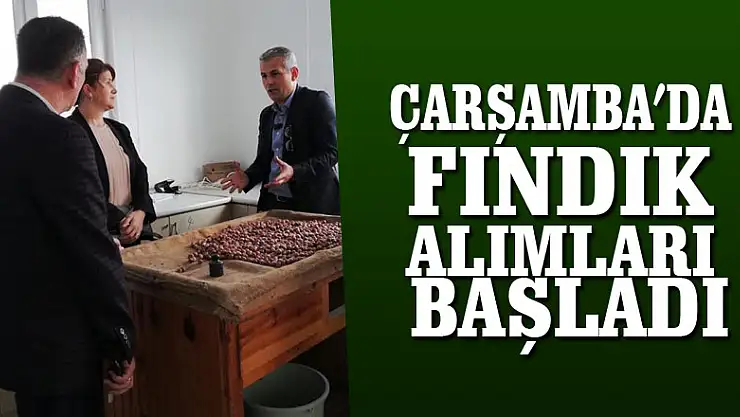 Çarşamba'da fındık alımları başladı