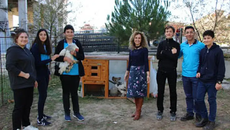 Liseyi tavuklarıyla okuyor