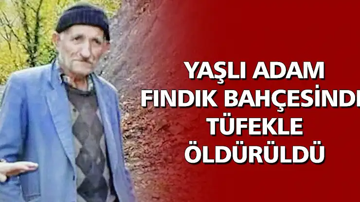  Yaşlı adam fındık bahçesinde tüfekle öldürüldü 