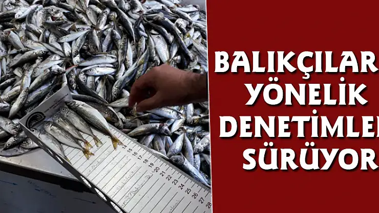 Balıkçılar denetlendi 