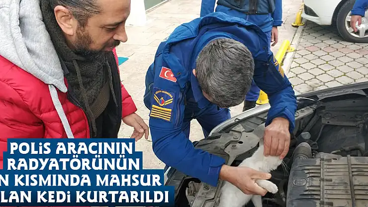 Polis aracının radyatörünün ön kısmında mahsur kalan kedi kurtarıldı