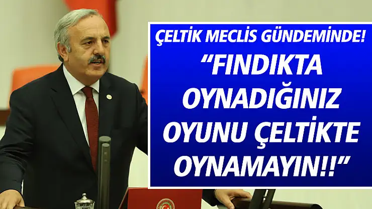 'Fındıkta oynadığınız oyunu çeltikte oynamayın!!'