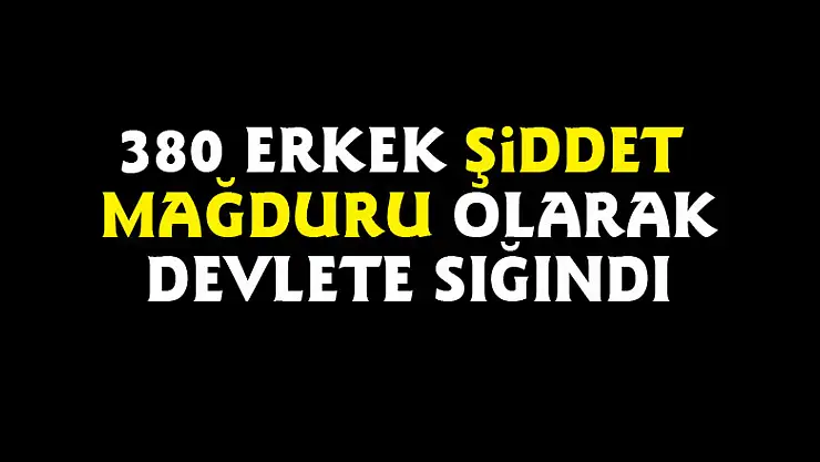 380 erkek şiddet mağduru olarak devlete sığındı