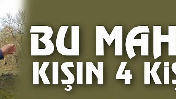Bu mahallede kışın 4 kişi yaşıyor