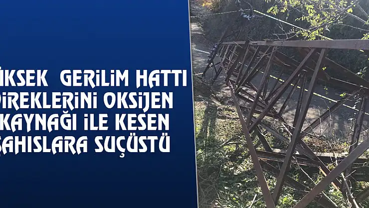 Yüksek gerilim hattı direklerini oksijen kaynağı ile kesen şahıslara suçüstü
