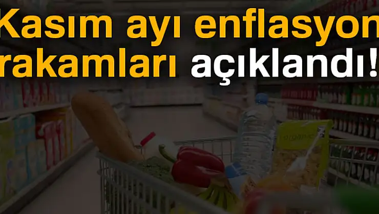 Kasım ayı enflasyon rakamları açıklandı!