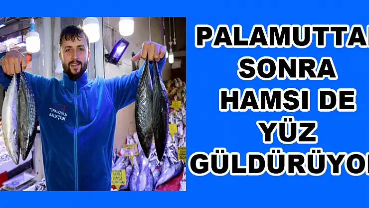  Palamuttan sonra hamsi de yüz güldürüyor 
