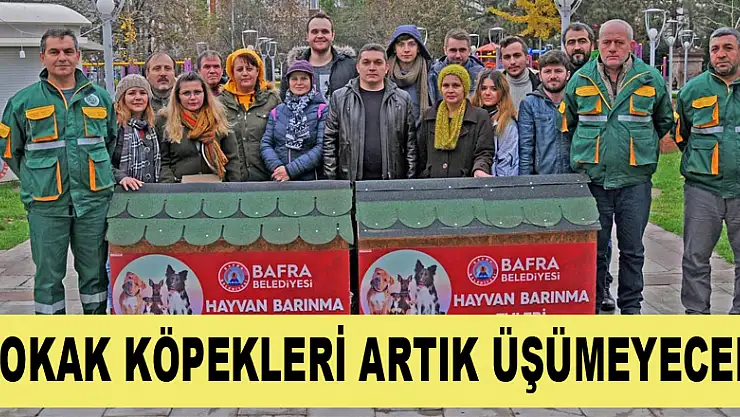 Sokak köpekleri artık üşümeyecek 