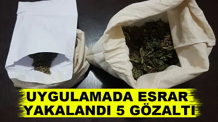 Uygulamada esrar yakalandı: 5 gözaltı