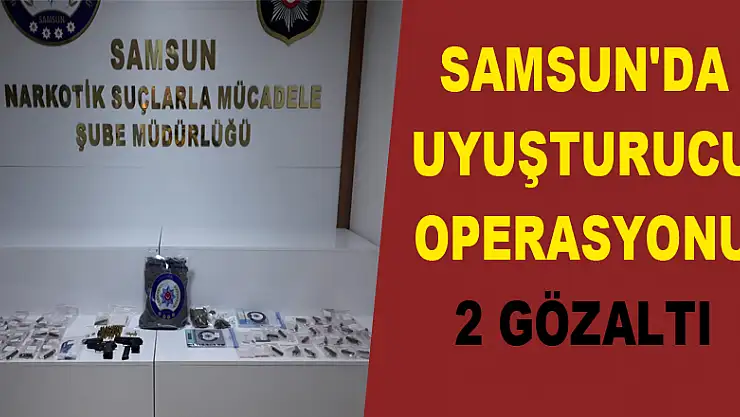 Samsun'da uyuşturucu operasyonu: 2 gözaltı 