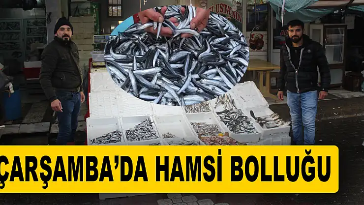 Çarşamba'da Balık bolluğu