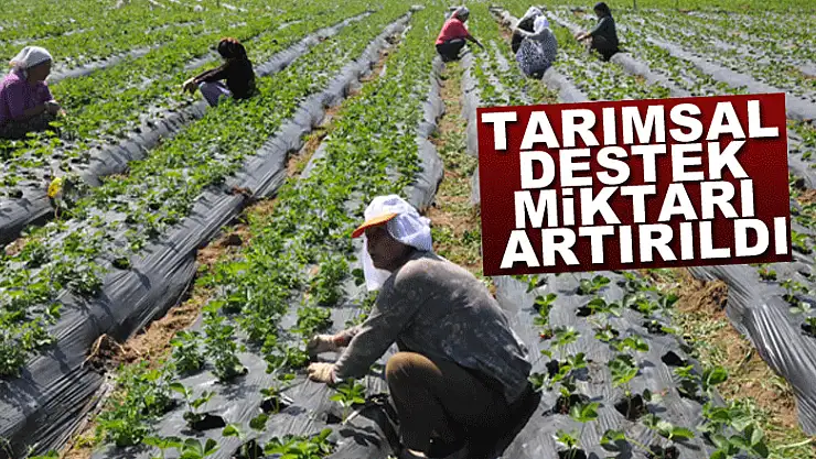 Tarımsal destek miktarı artırıldı